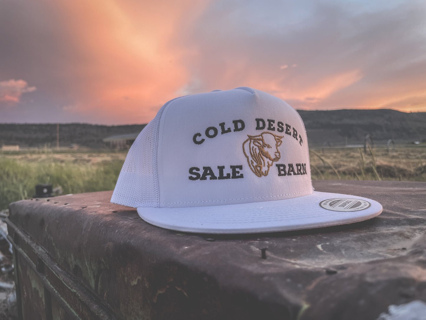 Cold Desert Sale Barn Trucker Cap - White